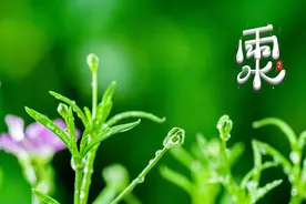 今日雨水！愿你奋力向前，不负春光视频封面