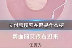支付宝搜索在吗是什么梗？支付宝在吗是什么意思？图片