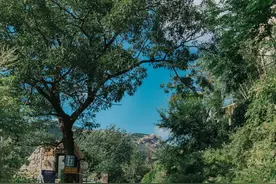 避世而居！二月最不能辜负的8间民宿，累了就去住几日……图片