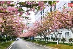 喜大普奔！张家界要有省管本科学院了图片