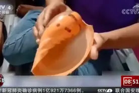 泰国司机吃海螺吃出“龙珠”，橙色珠子价值百万！网友直呼太漂亮图片