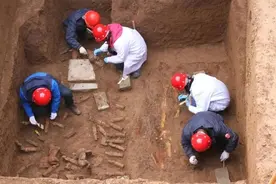 西安地铁八号线发现古墓1356座…网友：开通一条古墓探秘地铁也不错啊图片