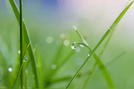 25℃!25℃!25℃!明日开启！合肥“火箭式”升温图片
