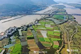 惊艳！螺洲大桥下竟藏着这么美的一个湿地公园图片
