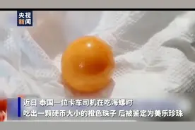 价值百万！泰国司机海螺里吃出龙珠图片