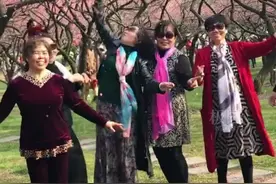 大妈摇落花瓣雨拍照，网友哭了：我来只能看树枝了图片
