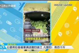 满满的爱！公婆将后备箱塞满蔬菜肉类送媳妇返工，媳妇：有百十斤视频封面