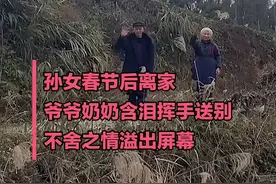 浓浓的爱！爷爷奶奶含泪挥手目送孙女离开图片