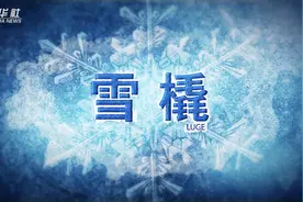 冬奥知识｜第十四集：雪橇视频封面