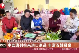 春节七天  中欧班列运送货物2.3万标箱视频封面