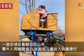 河南一游乐园自制脚动过山车，网友：你有多努力，孩子就有多幸福图片