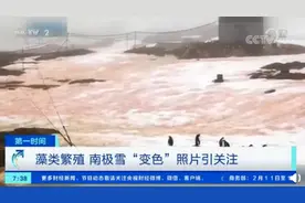 南极雪变成绿色和红色？专家：该现象可能导致极地冰雪消融失控图片