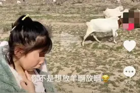 女孩放假不写作业被妈妈带去放羊，一看羊群直接崩溃，回家后乖乖写作业图片