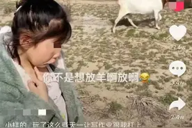 女孩放假不写作业被妈妈带去放羊，一看羊群直接崩溃：数不过来图片