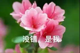 今年第一号台风“杜鹃”已生成！中心风力8级图片
