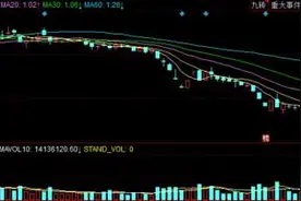证监会对*ST新亿及深圳堂堂涉嫌违法违规行为立案调查图片