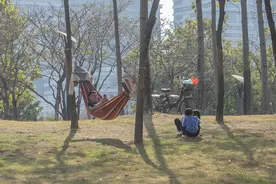 快评 | 东北地区探索全面放开生育限制，能扭转人口下降趋势吗？图片