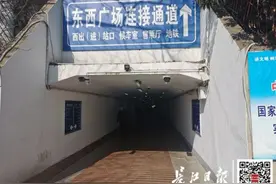 新变化！事关武汉地铁12号线和武昌火车站图片