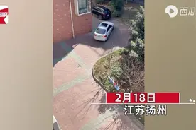 女儿刚拿驾照开车外出，贴墙边惊险转弯！亲妈楼上大叫“不能过”图片