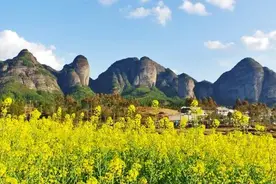 江西龙南：春意拂面 油菜花迎风初绽视频封面