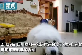 狗狗吃过晚饭意犹未尽 叼着饭盆跟主人吵架要求加餐 结局亮了图片