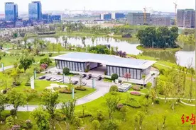泡桐树小学设新津校区 计划明年建成投用图片