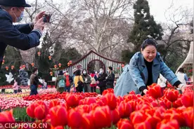 踏青赏花好春光图片