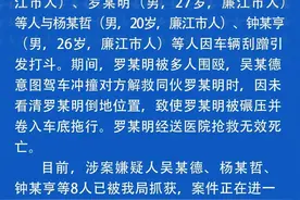 多人因车辆刮蹭引发打斗致1人死亡，广东廉江公安：涉案8人已被抓获图片