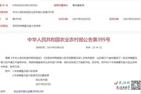 江西四家企业通过国家首批非洲猪瘟无疫小区评估图片