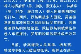 同伴酒吧门前遭多人围殴，男子意图驾车解救同伴不慎碾压对方致死图片