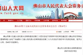 小区公共收益不得擅自挪用、侵占！佛山物管新规4月起施行图片
