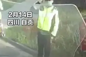 儿时的梦想？假交警在路上“执勤”，看到真交警还敬了个礼：我从小就想当交警图片