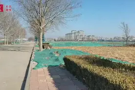 ｜化工企业退城入园后，这里将上演精彩“蝶变”图片