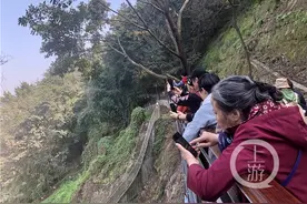 “开往春天的地铁”拍摄地佛图关公园火了 游客却吵了起来图片