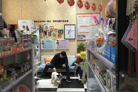 “就地过年”促宠物消费成为春节市场亮点图片