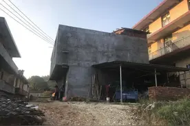 叮咚快评｜“小马云”，“被幸福”褪去后留下的何止唏嘘图片