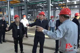 罗国宇来嘉调研园区产业项目发展：以高质量党建引领高质量发展图片