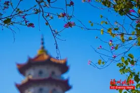 太美了！就在福州！刷屏朋友圈图片