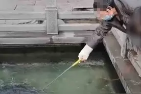趵突泉内游客自制工具吸取硬币 景区回应图片