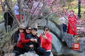 约起！绵阳花花世界让你“牛年”忘返图片