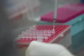 核酸检测为啥增加肛拭子？图片