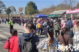明孝陵梅花山迎赏花高峰，南京交警推出“赏花”攻略图片