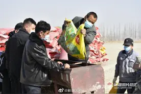 南疆部分地区春小麦开播图片