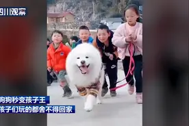 治愈！狗狗回村秒变孩子王图片