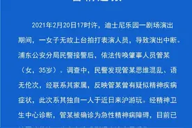 上海迪士尼又有游客闹事，遇到突发事件警察会出现在乐园里吗？图片