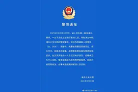 上海迪士尼游客上台殴打表演者，警方通报来了图片
