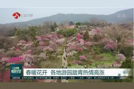 春暖花开，江苏人游园踏青热情高涨视频封面