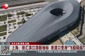 上海：徐汇滨江添新地标  老渡口变身“飞船码头”视频封面