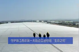守护珠江西岸第一大轨道交通枢纽“生命之树”视频封面