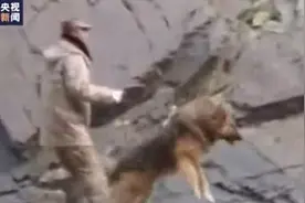 中印冲突现场，我方军犬吼叫着跃起！网友：它也是最勇敢的战士图片